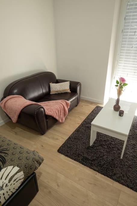 New Appartement Proche Gare Et Centre-Ville كولمار المظهر الخارجي الصورة