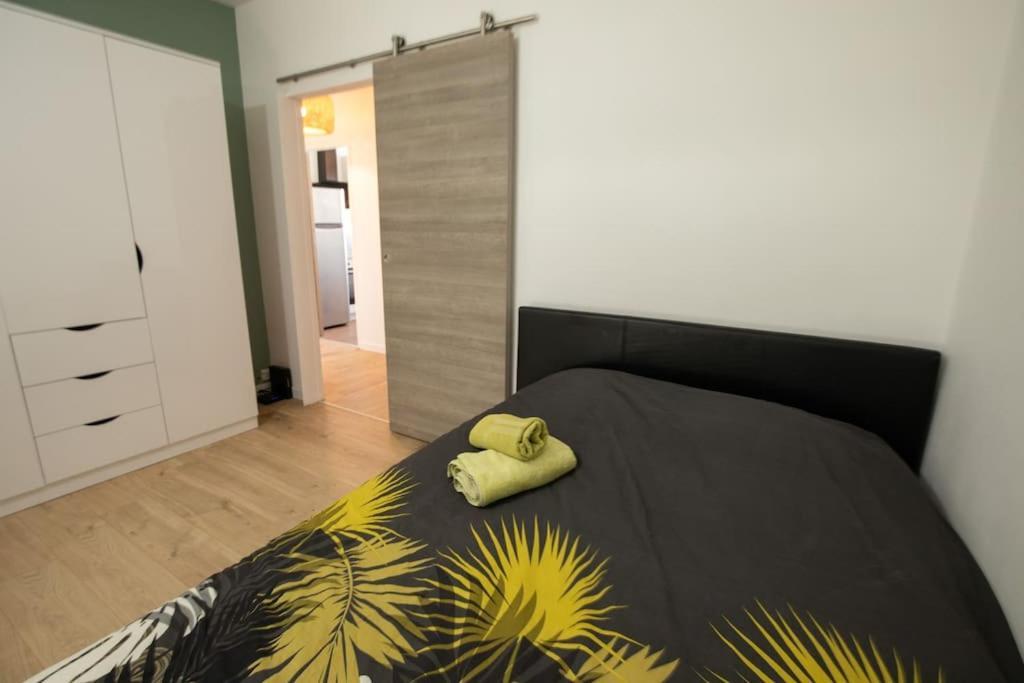 New Appartement Proche Gare Et Centre-Ville كولمار المظهر الخارجي الصورة