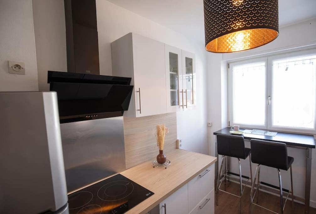 New Appartement Proche Gare Et Centre-Ville كولمار المظهر الخارجي الصورة